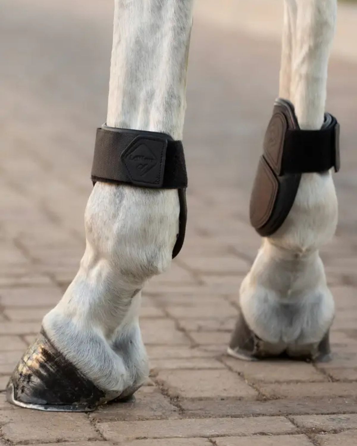 LeMieux Capella Fetlock Boots Black