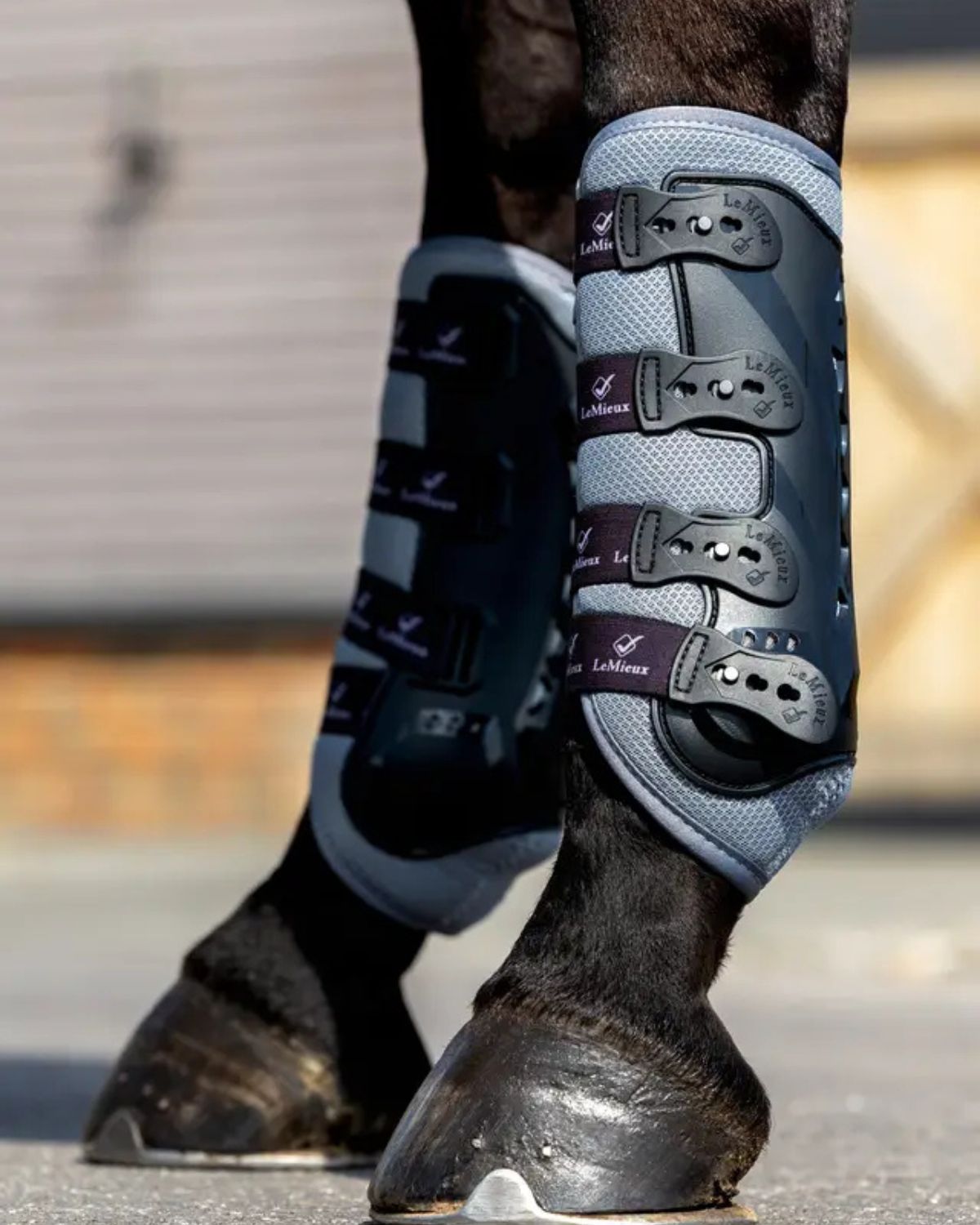 LEMIEUX Ultra Mesh Snug Boots Front Grey - Horse Leg Protection, Breathable, Shock Absorbing Equestrian Boots.