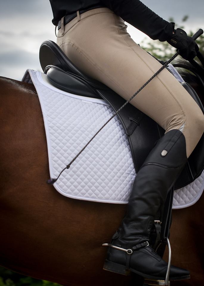 Equestrian Dressage: White ThinLine Saddle Pad, Rider in Boots & Breeches, Horseback Riding