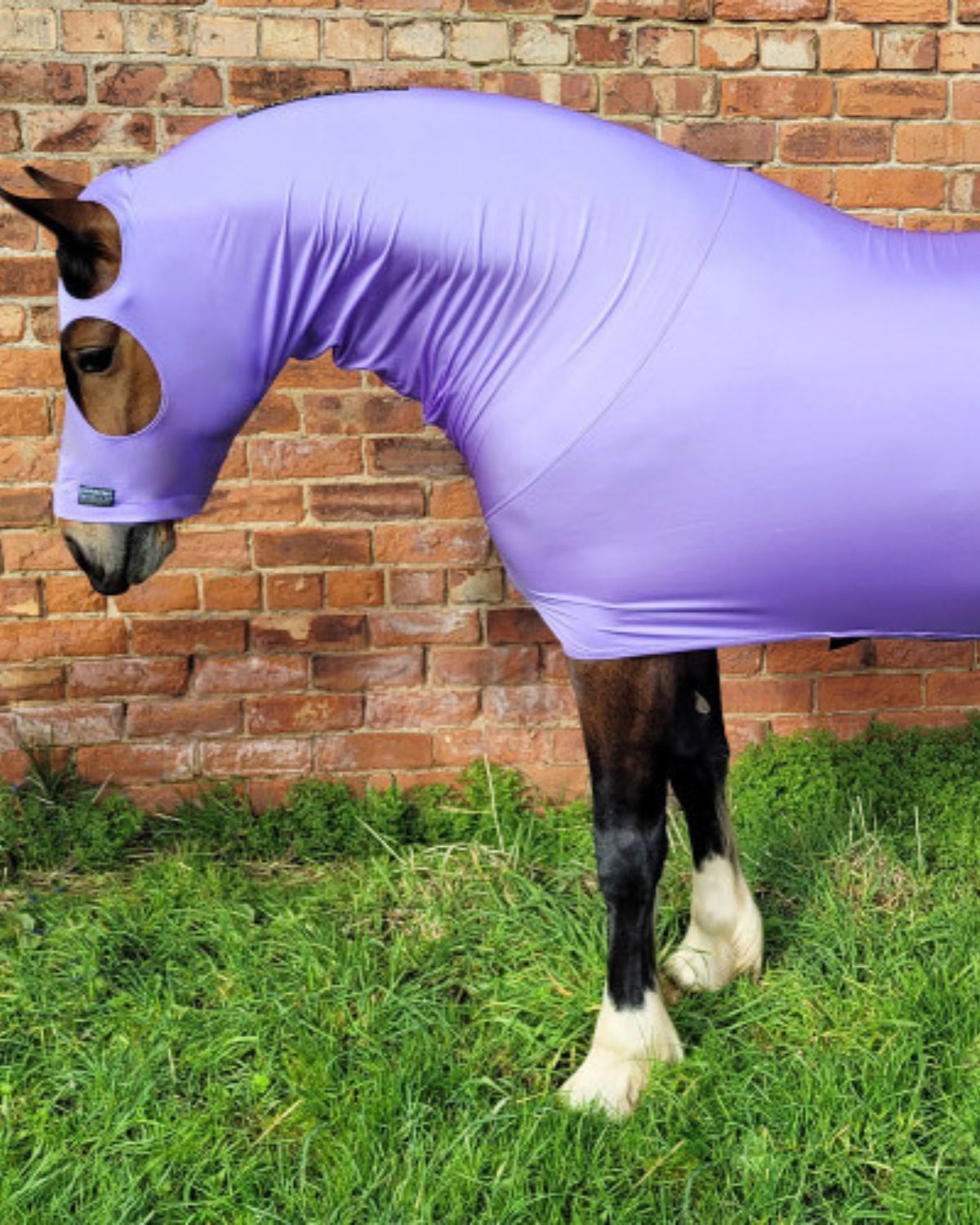 Supreme Products Body Wrap - Lilac