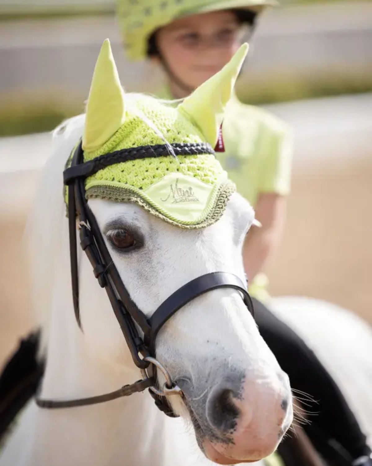 LEMIEUX MINI FLY HOOD KIWI: Pony Fly Hood for 11.2hh to 13hh Ponies at Equiflair