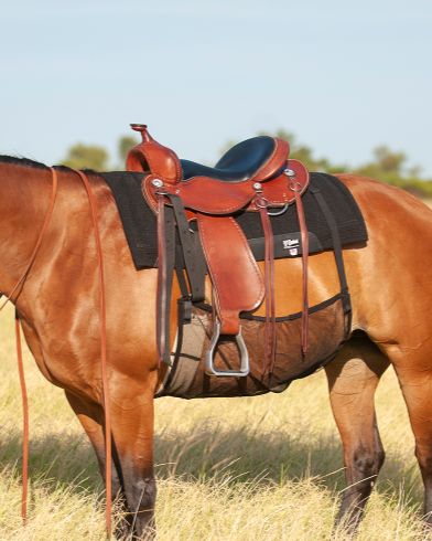 Cashel Crusader Quiet Ride Belly Guard