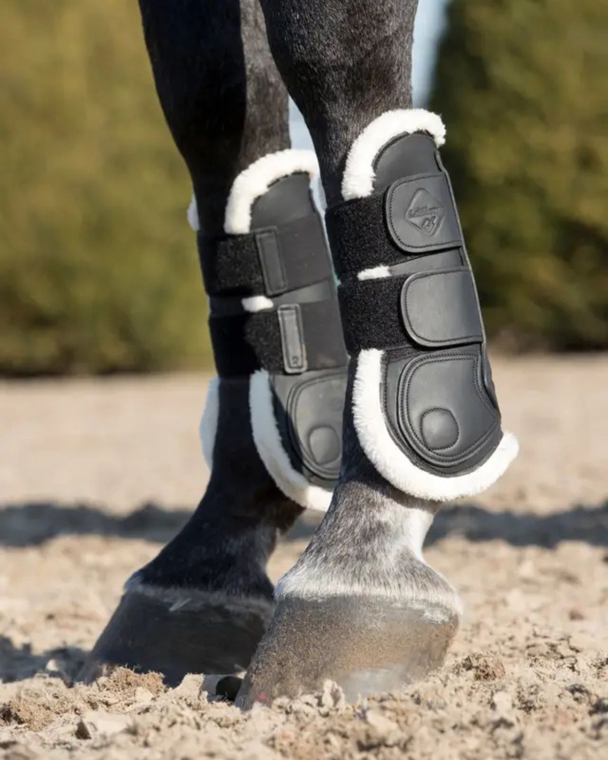 LeMieux Capella Comfort Tendon Boots Black