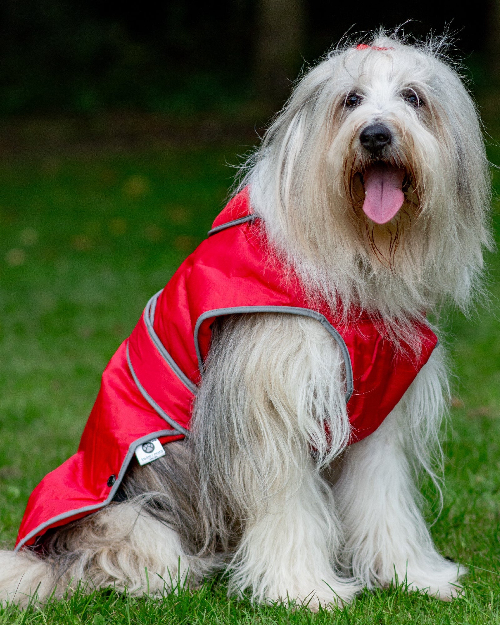 Ancol Stormguard Dog Coat Red