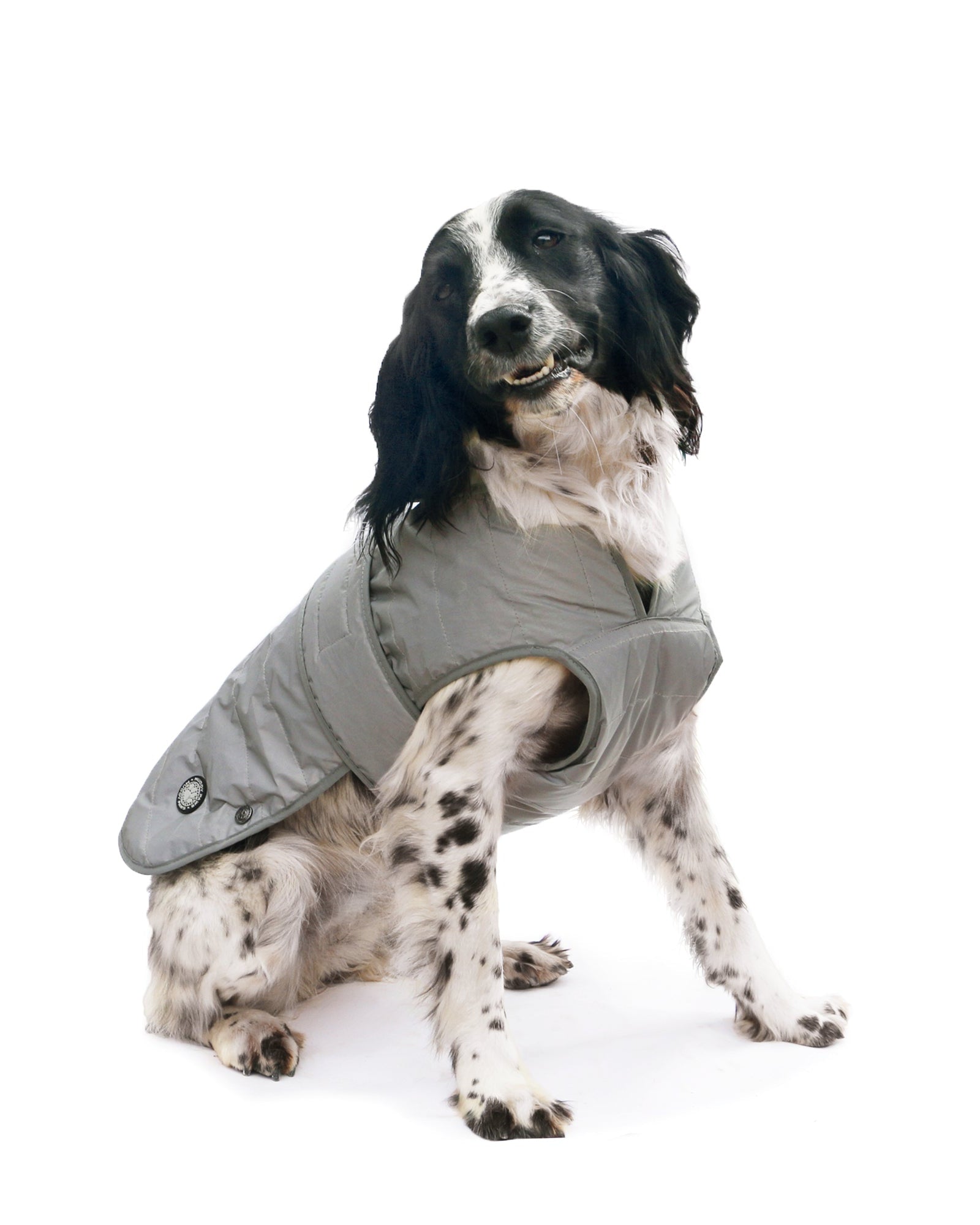 Ancol Ultimate Reflective Dog Coat