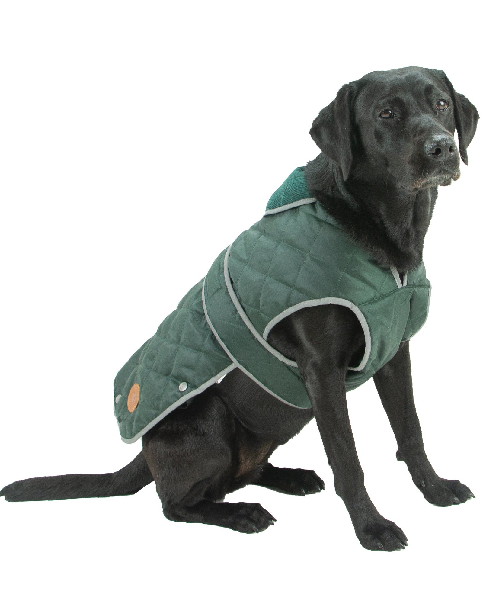 Ancol Heritage Quilted Dog Coat Green