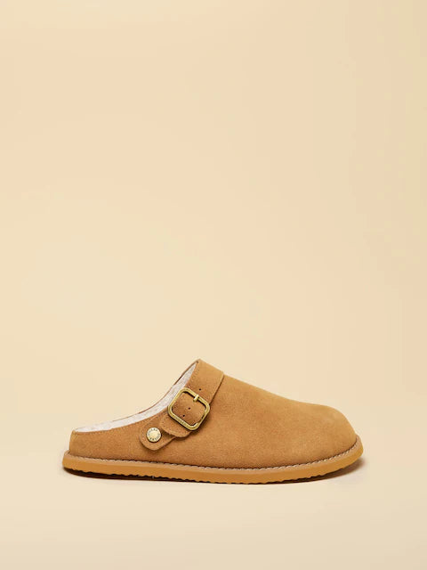 Joules Hampden Chestnut Brown House Shoe from Equiflair Saddlery - Suede Clog Slippers with Buckle Detail