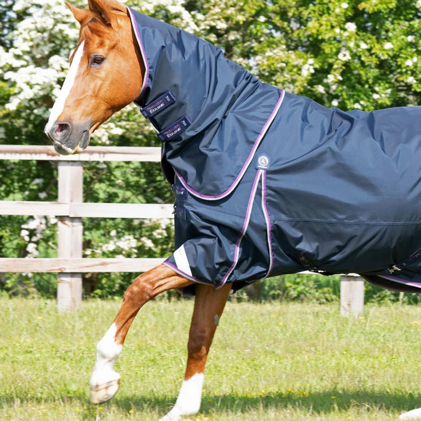 Premier Equine Buster 70g Turnout Rug with Classic Neck Cover Navy