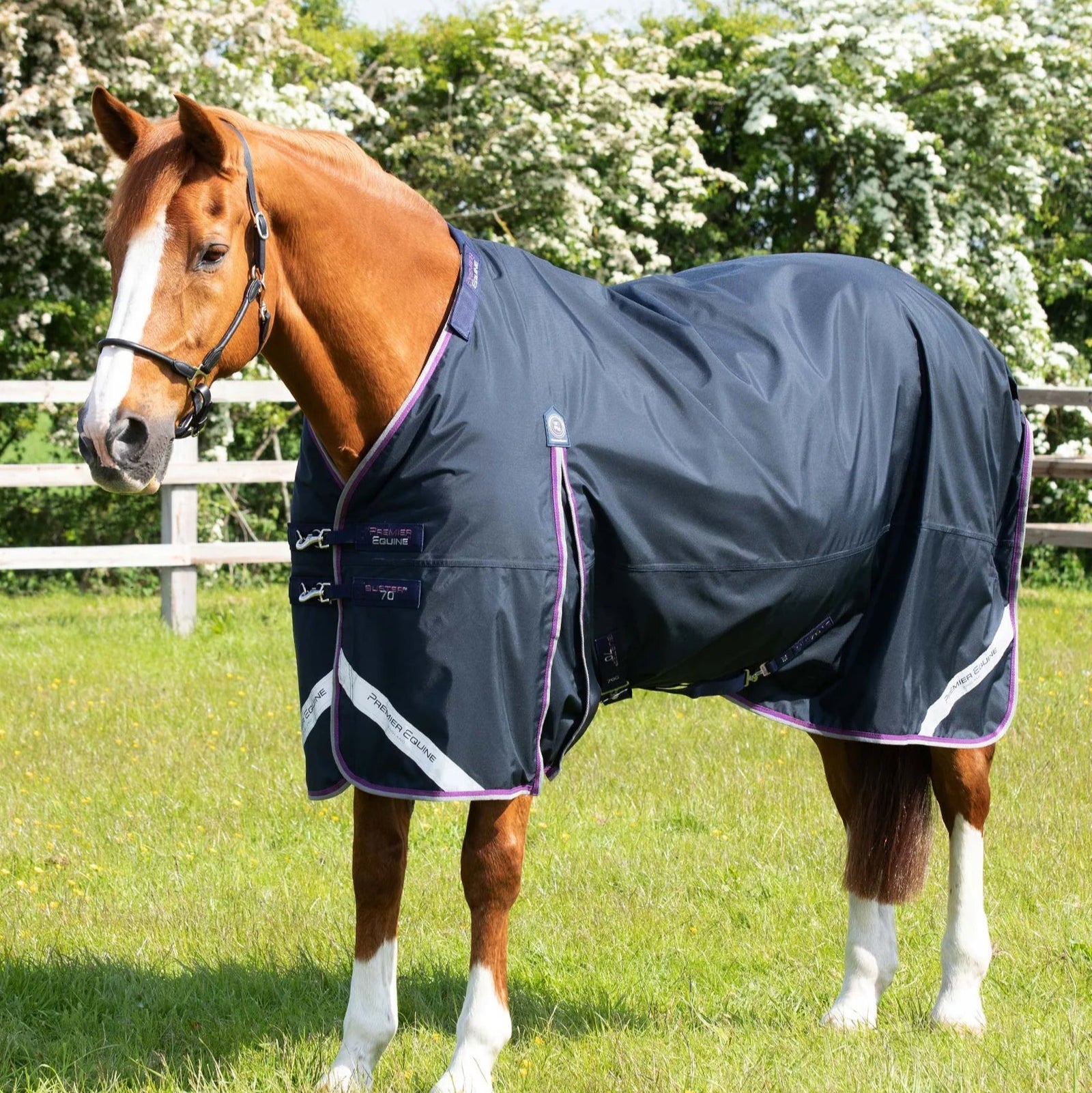 Premier Equine Buster 70g Turnout Rug with Classic Neck Cover Navy