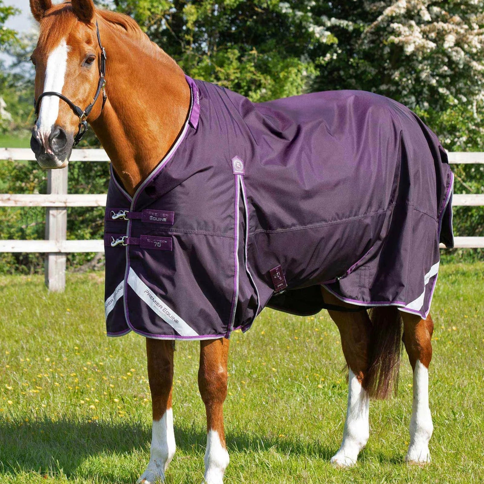 Premier Equine Buster 70g Turnout Rug with Classic Neck Cover Purple