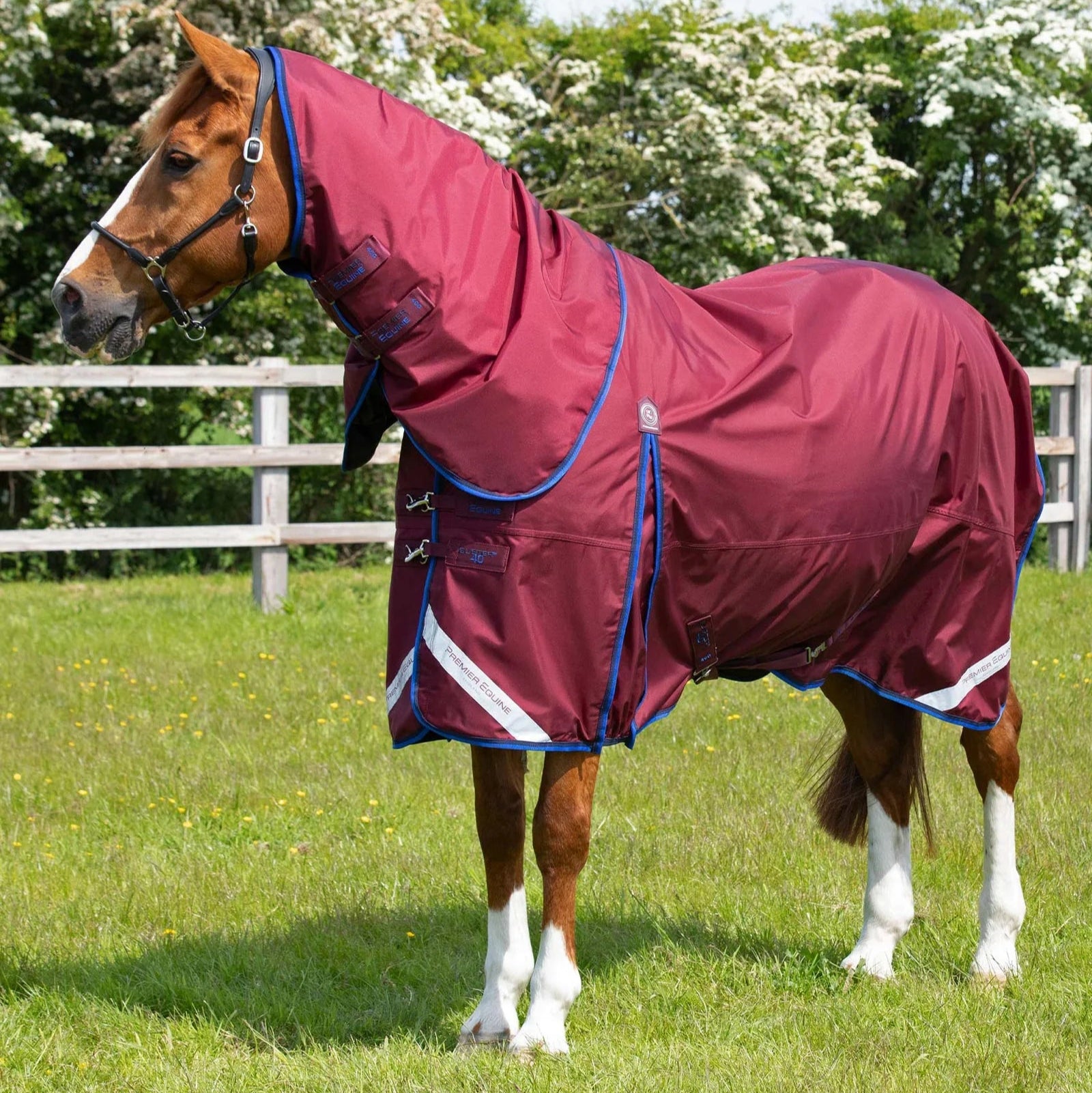 Premier Equine Buster 40g Turnout Rug with Classic Neck Cover Burgundy