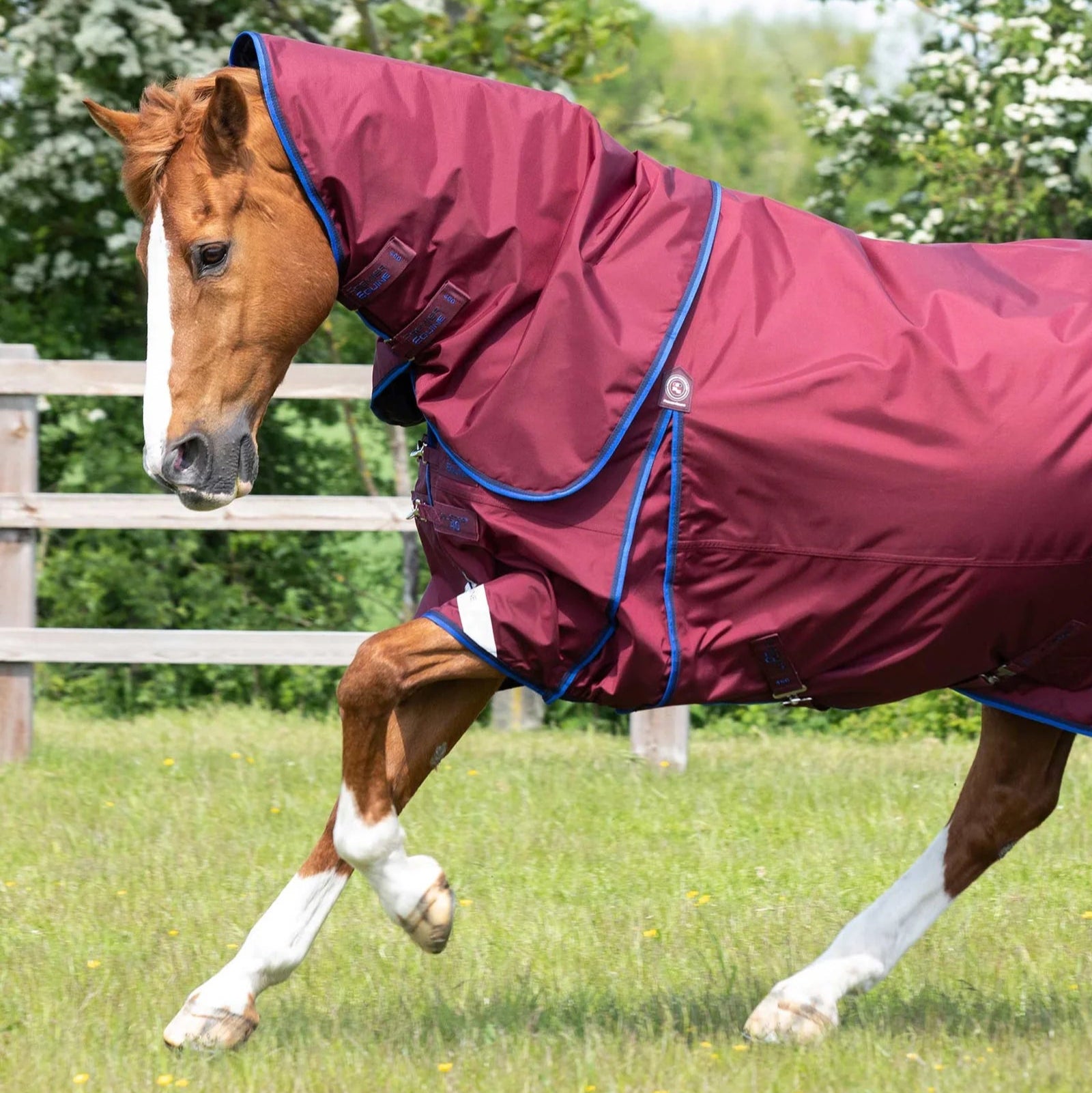 Premier Equine Buster 40g Turnout Rug with Classic Neck Cover Burgundy