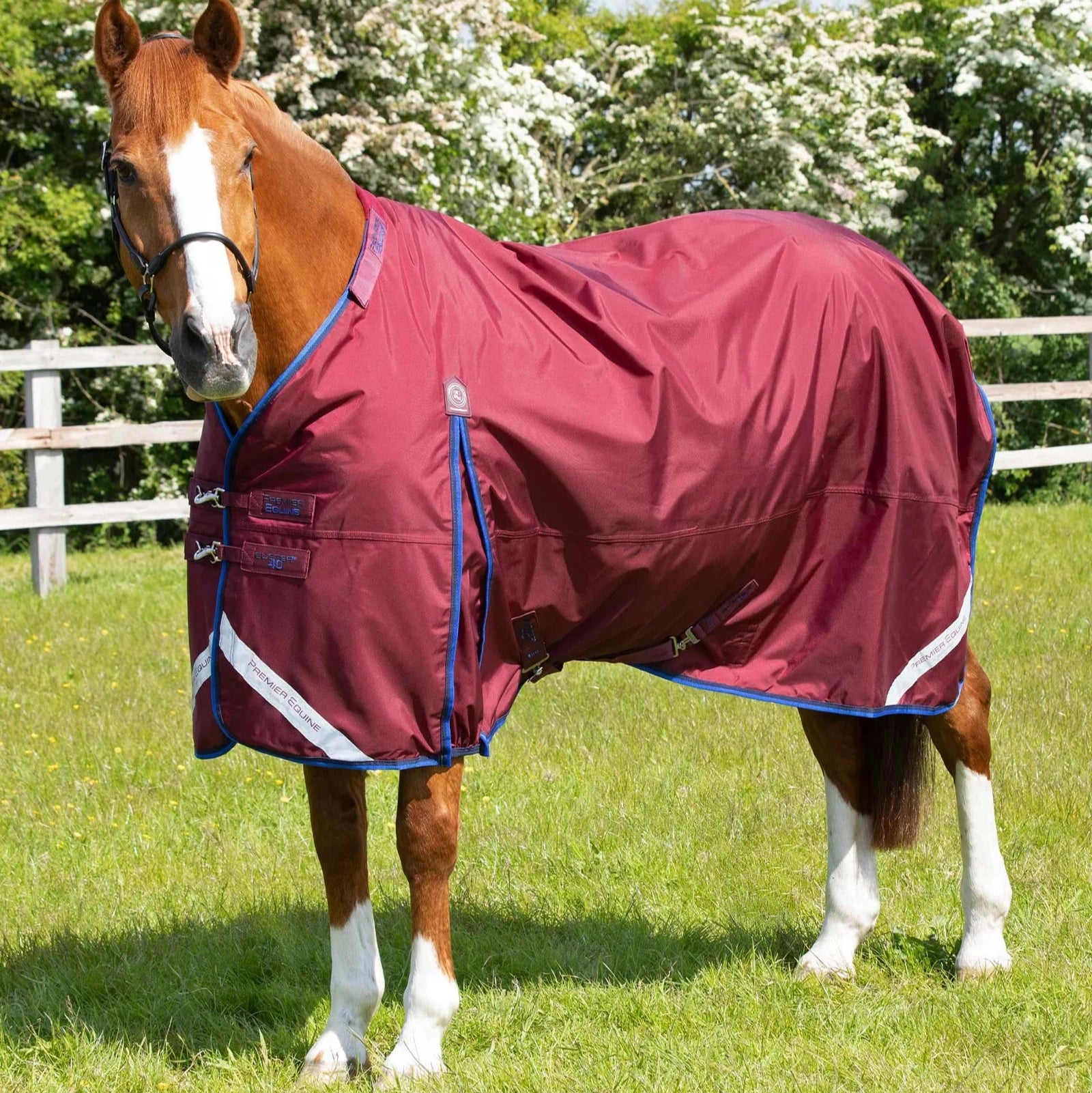 Premier Equine Buster 40g Turnout Rug with Classic Neck Cover Burgundy
