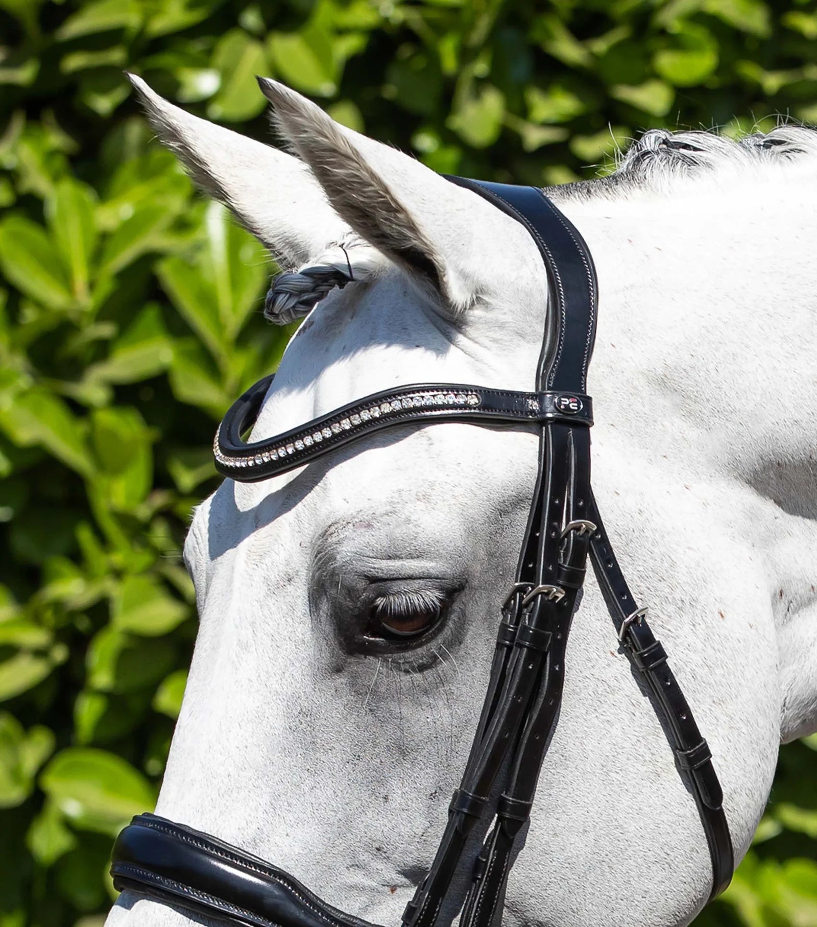 Premier Equine Abriano Black Anatomic Double Bridle: Italian Leather, Diamante Browband, Dressage Horse Tack