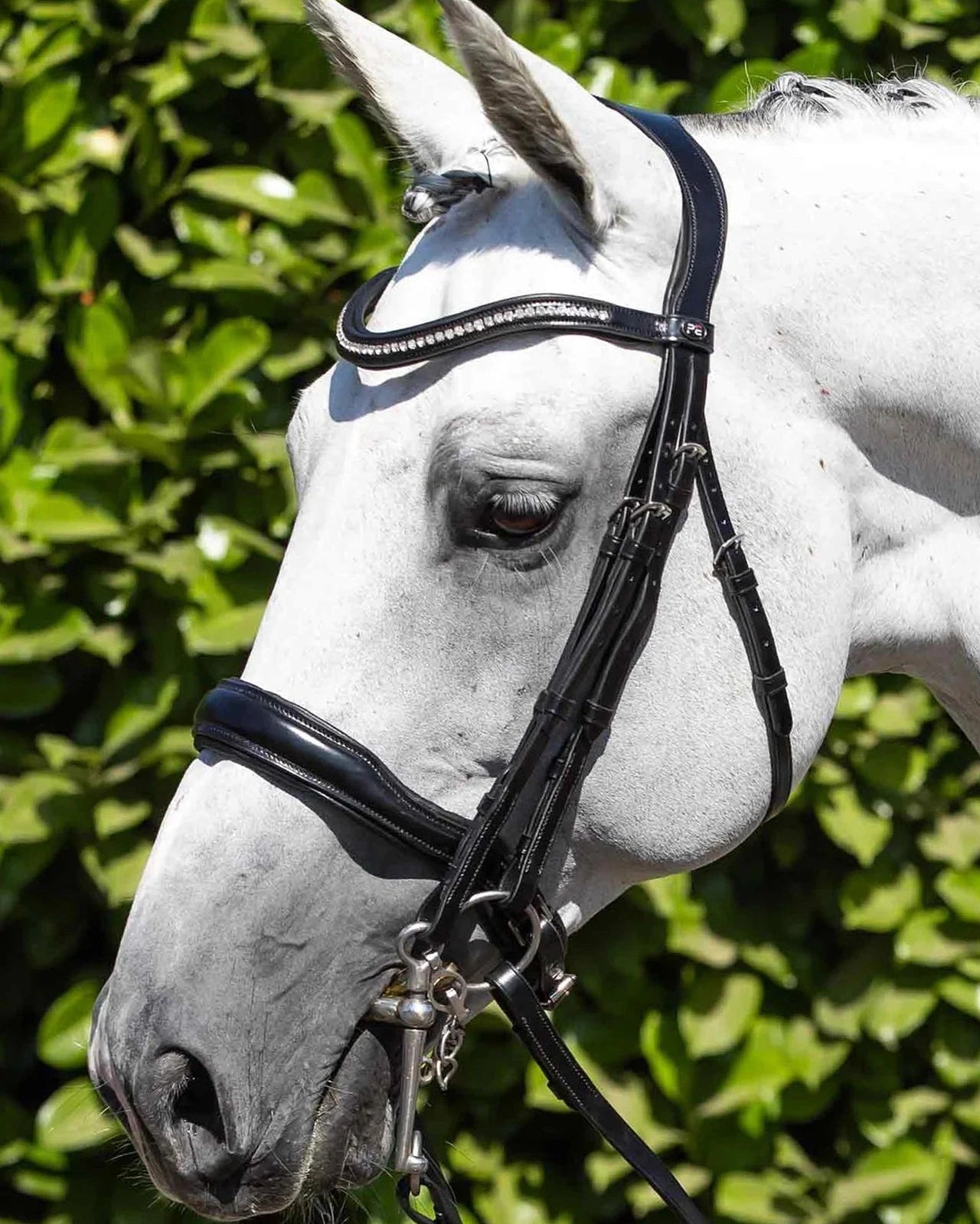Premier Equine Abriano Double Bridle: White Horse with Black Italian Leather Anatomical Bridle