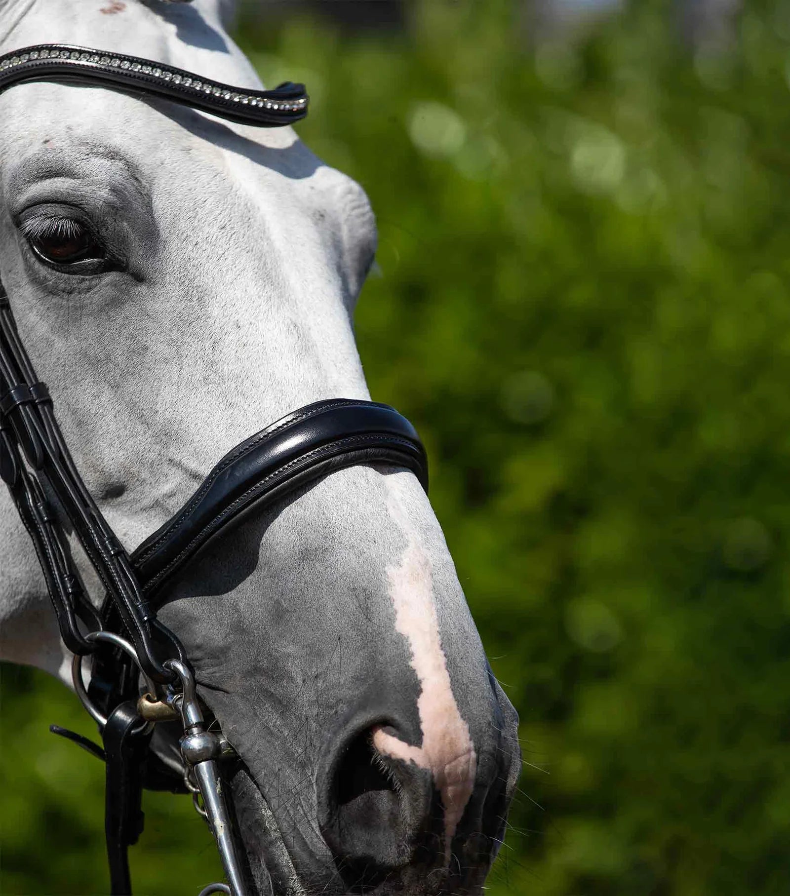 Black Italian Leather Dressage Double Bridle | Anatomical Comfort & Diamante Browband | Equestrian Horse Tack