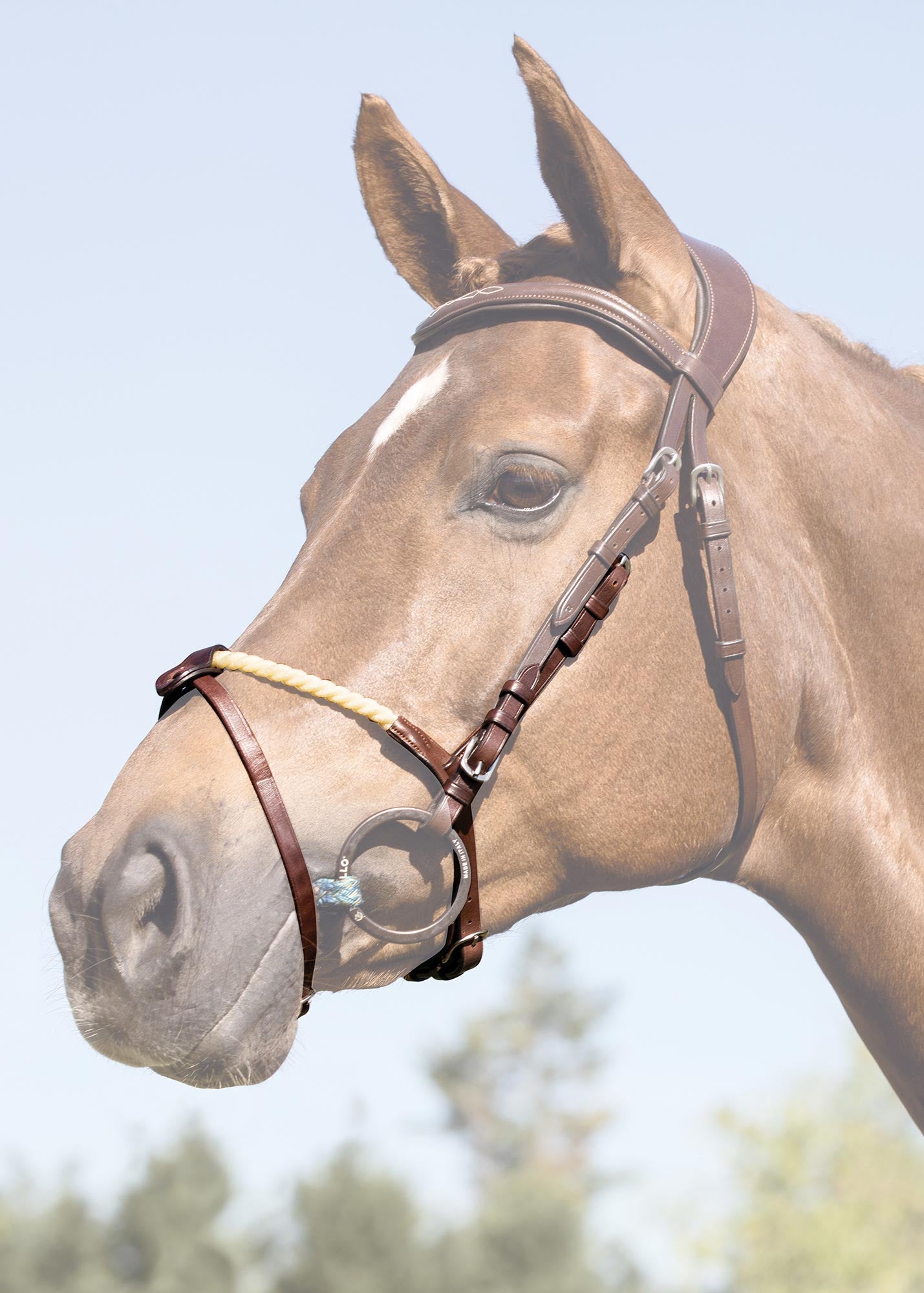 Acavallo Rope Flash Noseband Dark Brown
