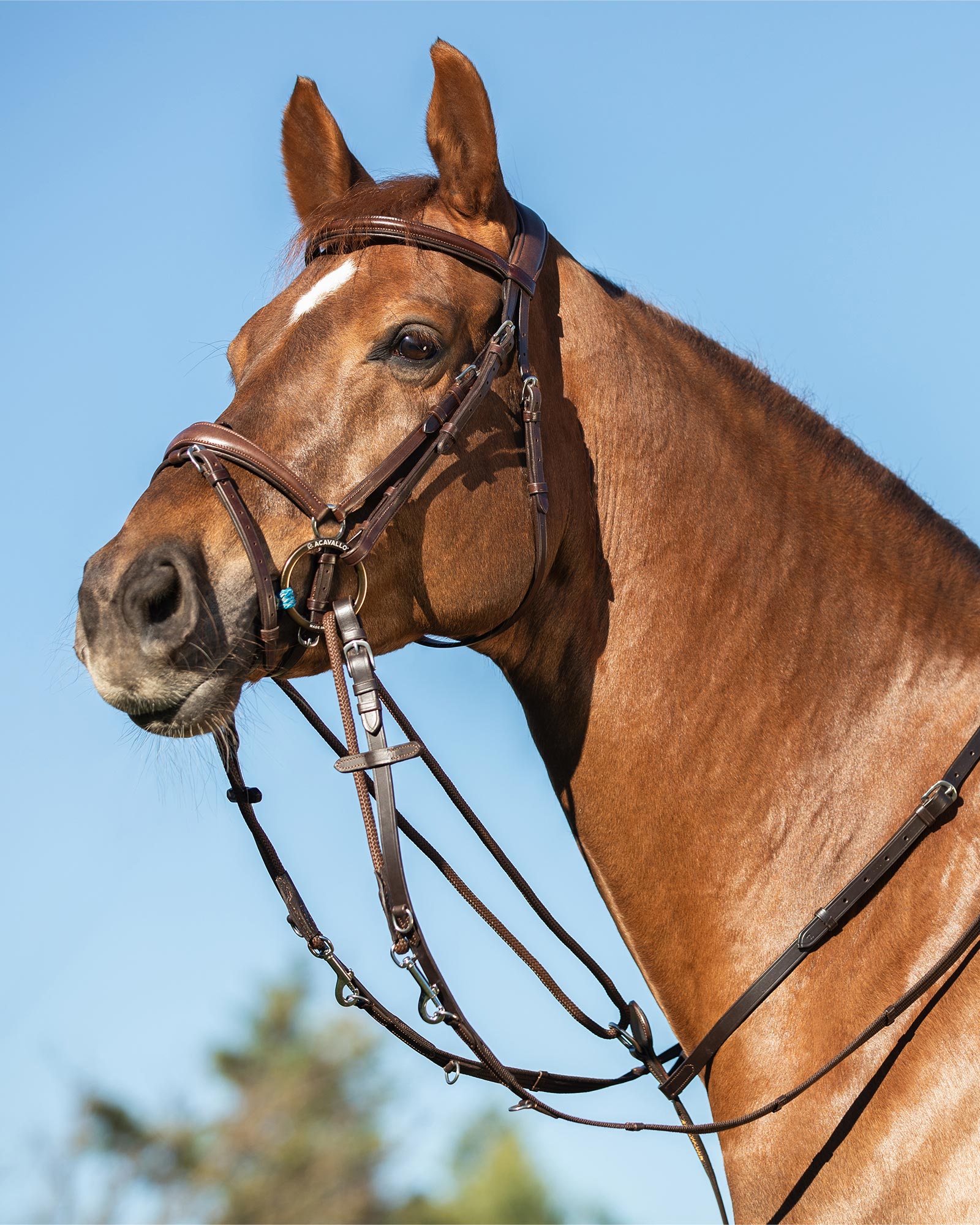 Acavallo Thiedemann Reins Tubular Nylon Dark Brown