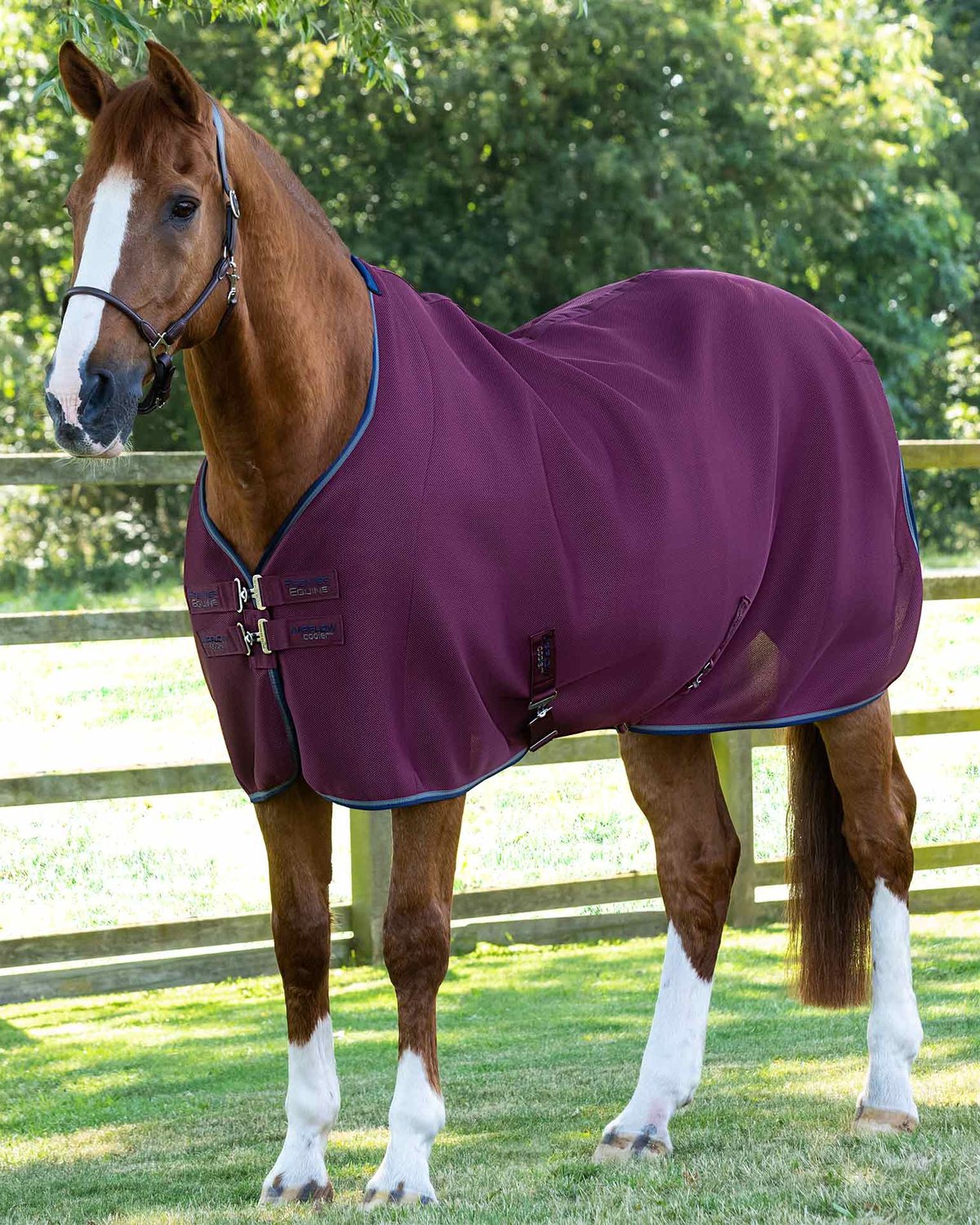 Burgundy Premier Equine Airflow Cooler Rug for Horses | Breathable Horse Blanket
