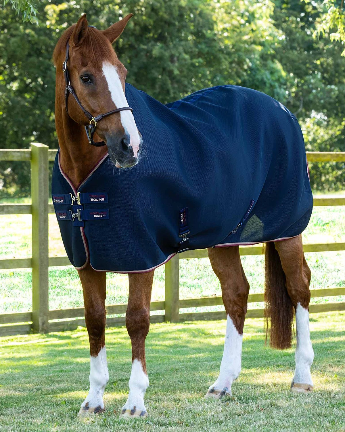 PREMIER EQUINE Airflow Cooler Rug in Navy: Horse wearing breathable mesh cooler for temperature regulation & quick drying.