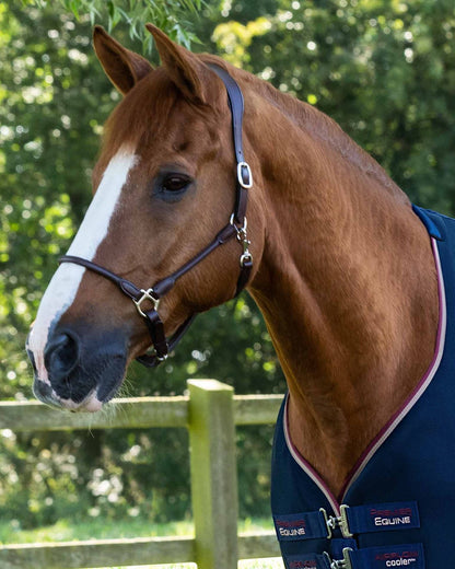 Chestnut Horse in Premier Equine Airflow Cooler Rug - Navy. Breathable, Quick Drying, Cooling Horse Rug