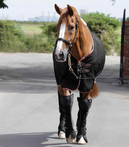 PREMIER EQUINE Airtechnology Knee Pro-Tech Horse Travel Boots Black: Ultimate Leg Protection for Safe Horse Transport