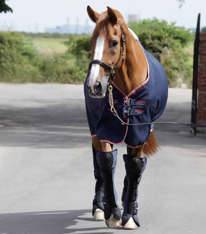 PREMIER EQUINE AIRTECHNOLOGY Knee Pro-Tech Horse Travel Boots - NAVY: Ultimate Protection and Comfort for your horse legs