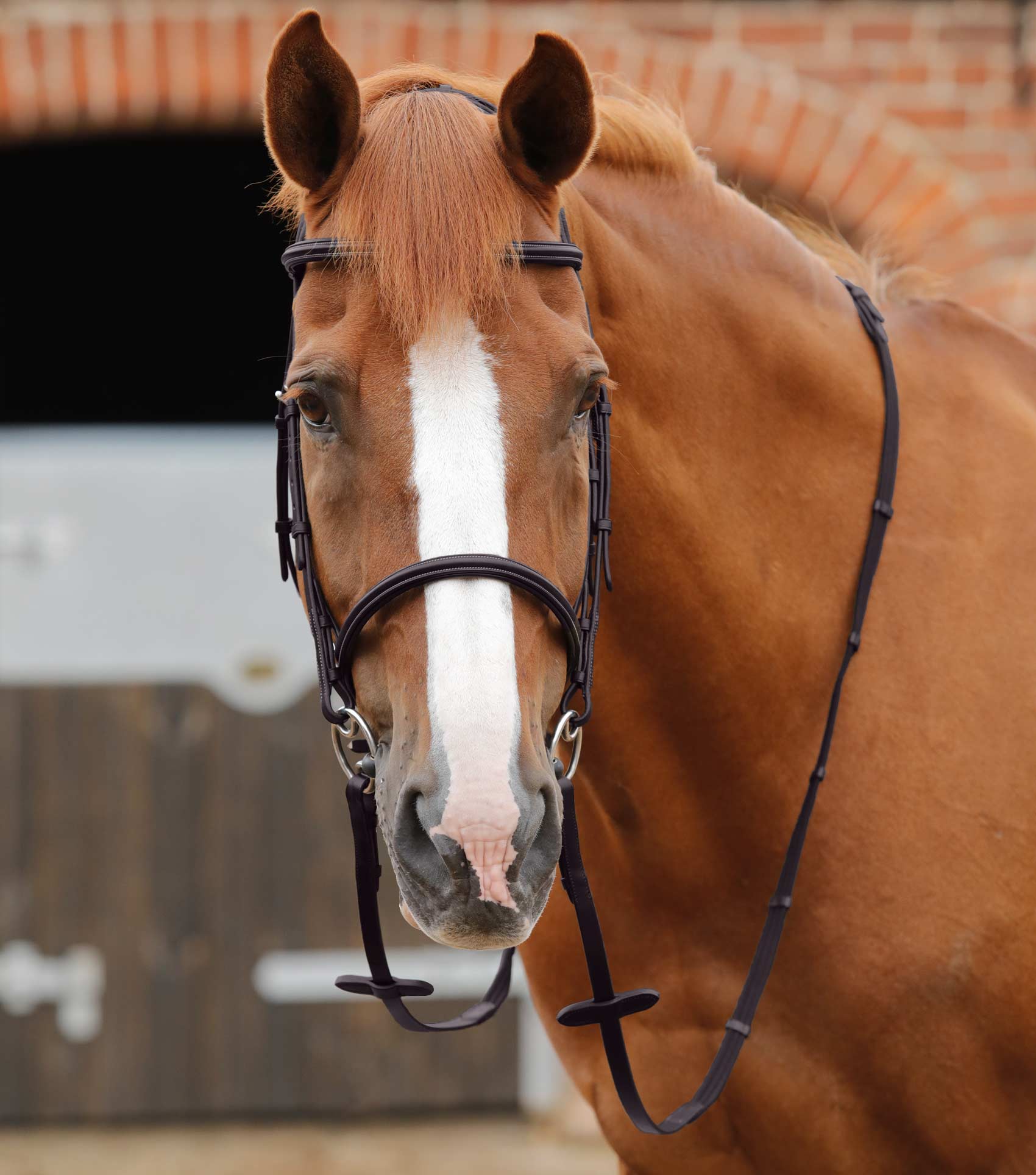Premier Equine Altare Web Reins Brown