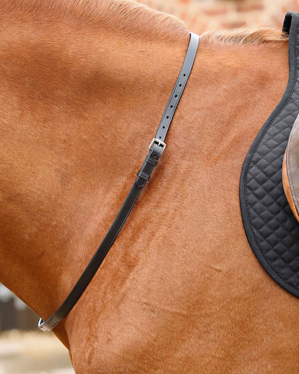 Premier Equine Altino Black Leather Horse Neck Strap | Equestrian Safety Aid