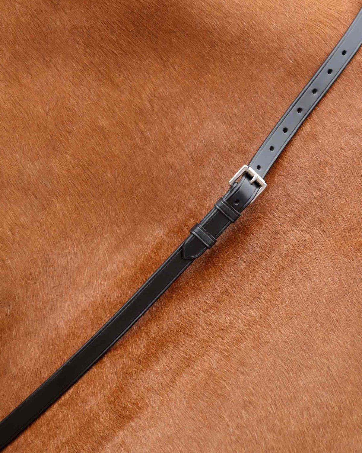Premier Equine Altino Horse Neck Strap - Black Leather Equestrian Safety Aid