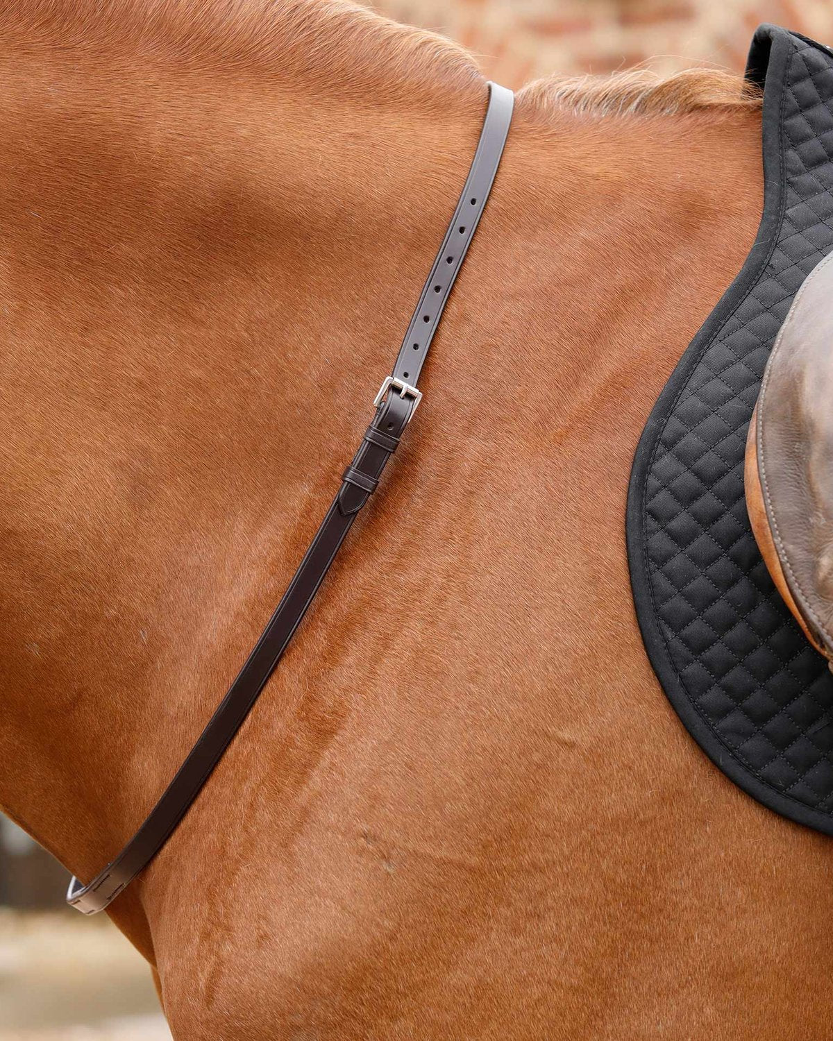 Premier Equine Altino Brown Leather Neck Strap for Horses - Riding Safety & Training Aid