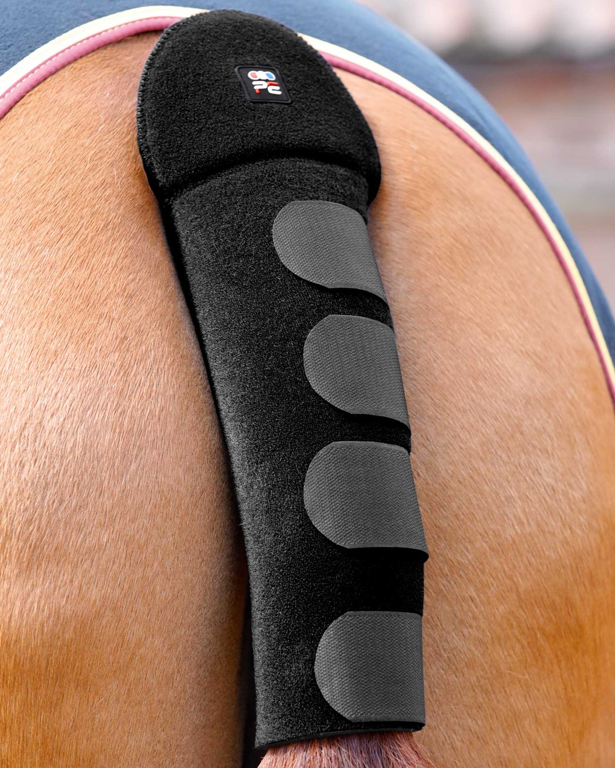 Premier Equine Anti-Slip Padded Tail Guard Black for Horses | Horse Tail Protection