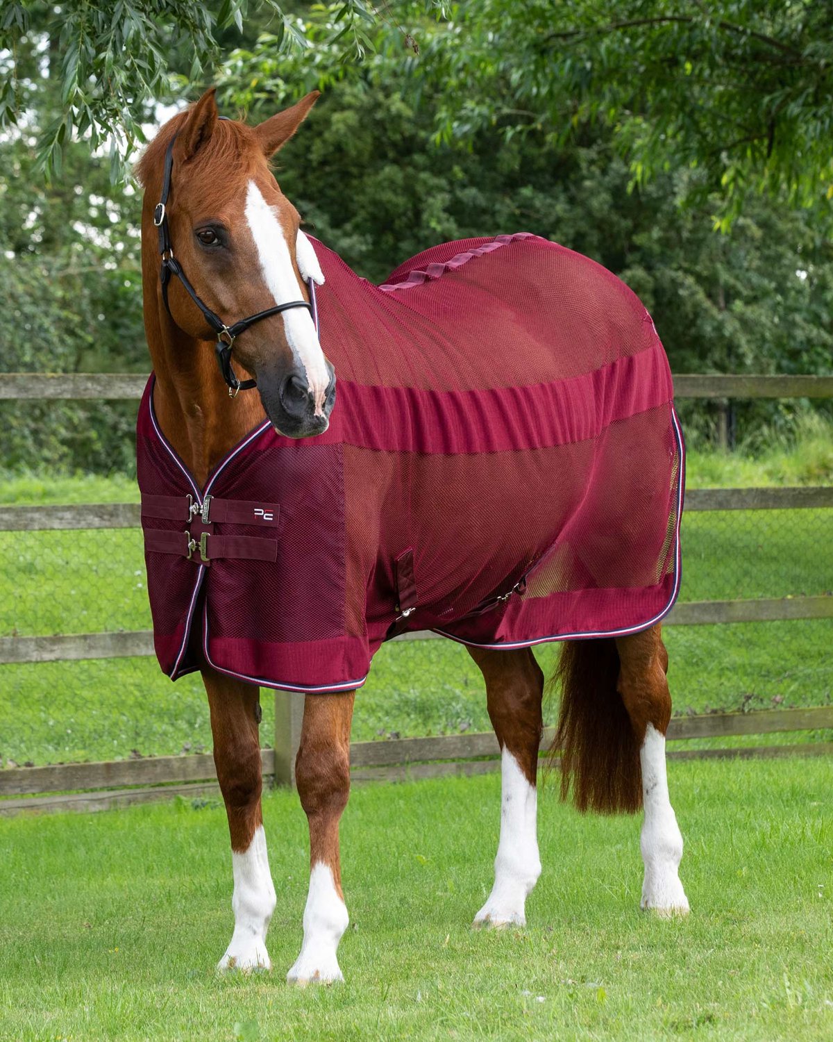 Premier Equine Arisca Burgundy Horse Cooler Rug - Breathable Mesh Knit Horse Sheet