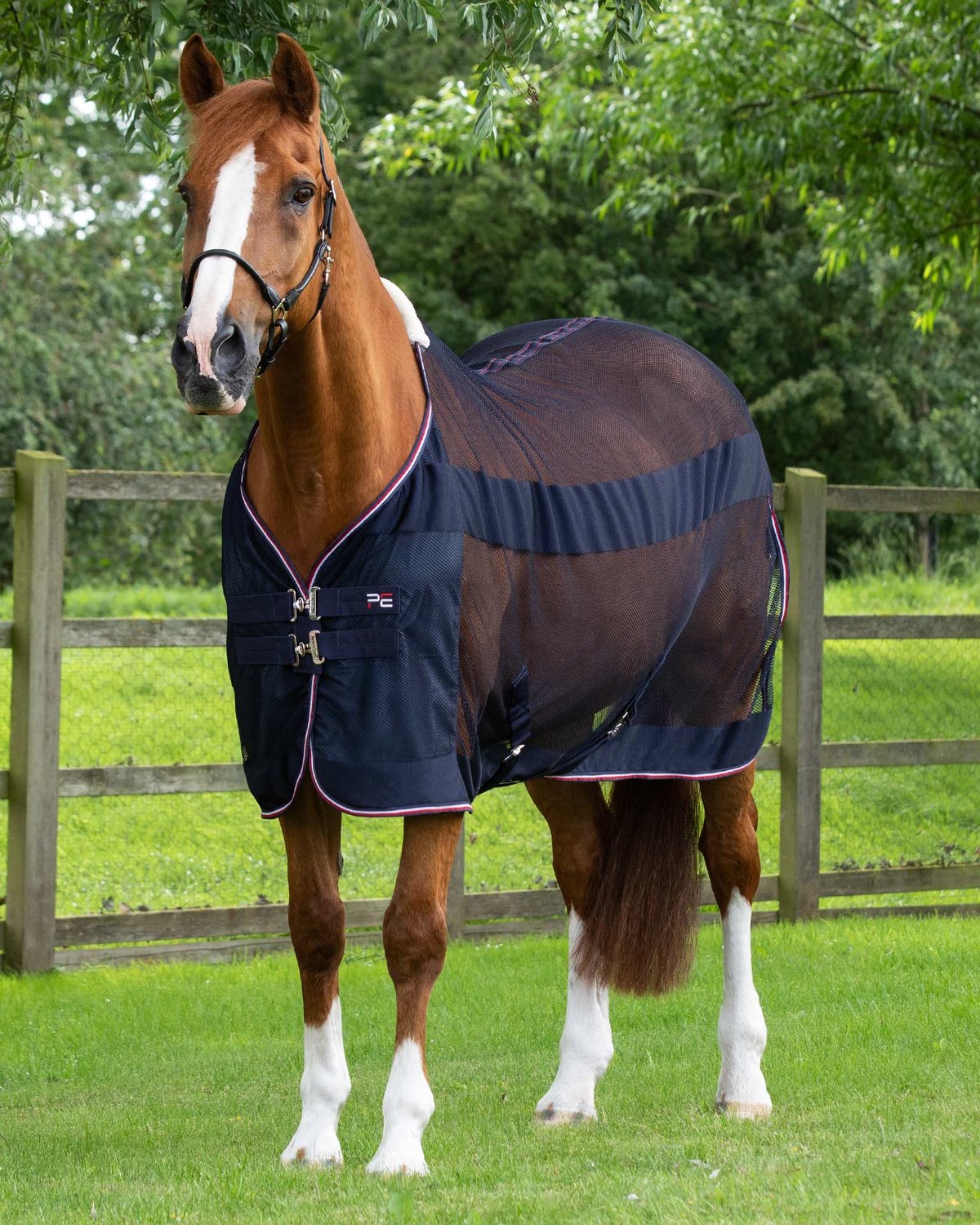 Premier Equine Arisca Scrim Cooler Navy - Horse Mesh Blanket