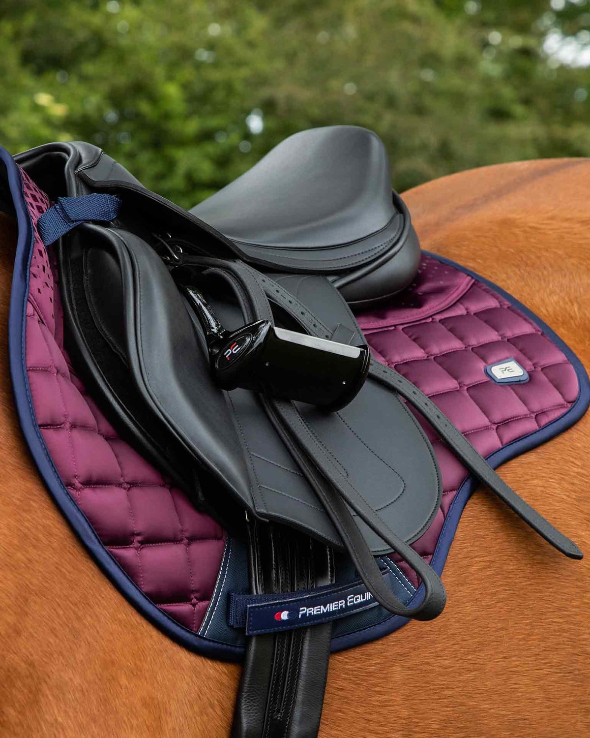 Premier Equine Armada GP Jump Saddle Pad - Wine Equestrian Riding Horse Tack