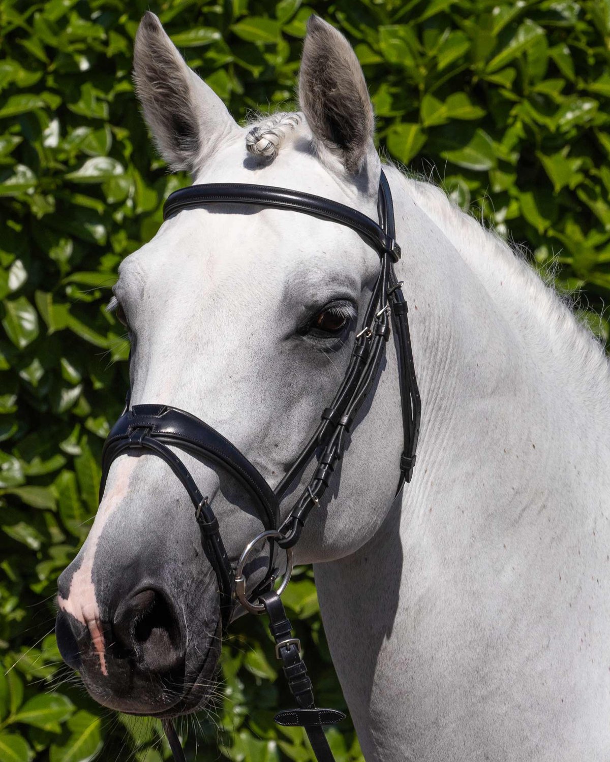 PREMIER EQUINE Artana Snaffle Bridle - Black Italian Leather Horse Bridle Anatomical Design Comfort Padded