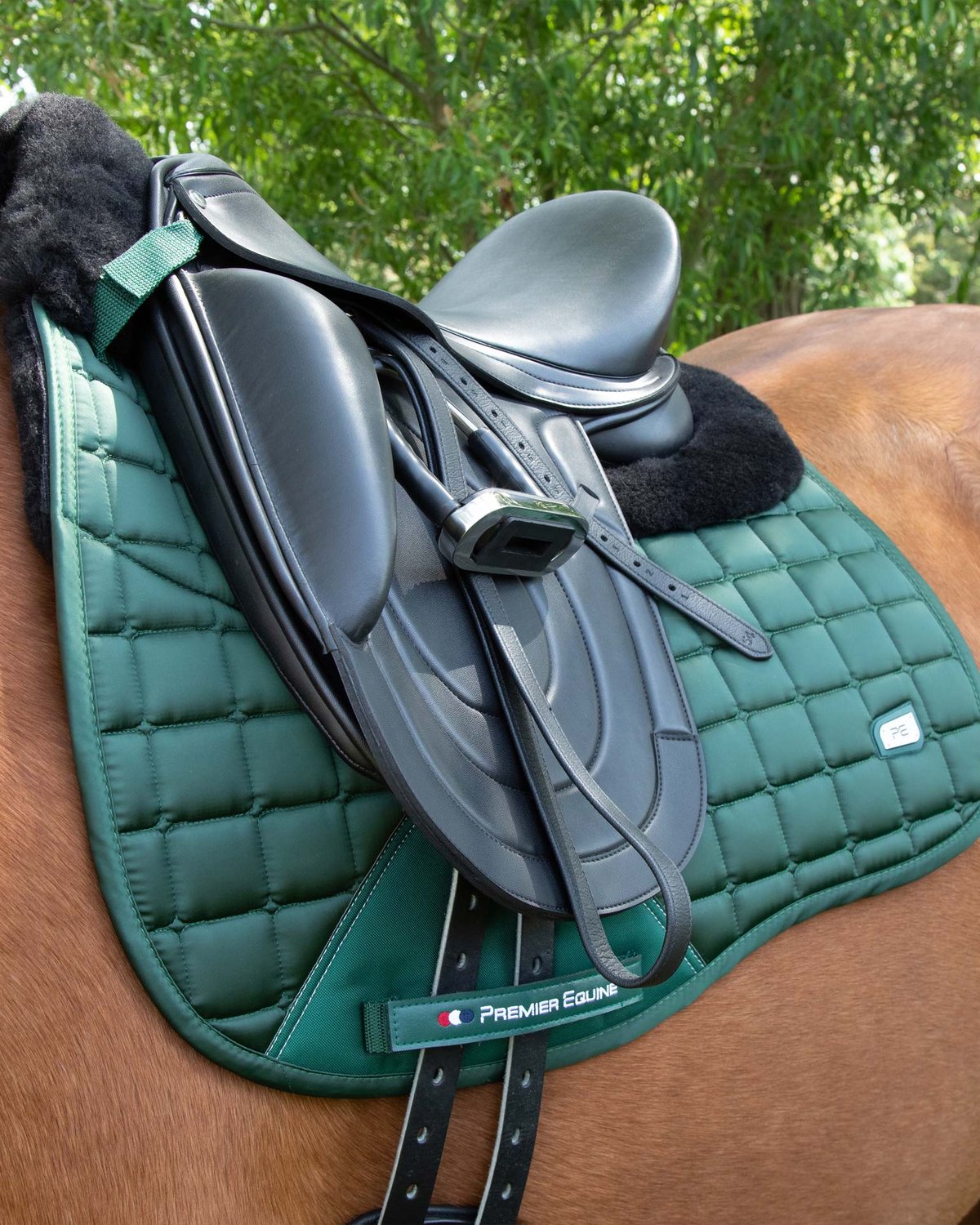PREMIER EQUINE Atlantis Dressage Saddle Pad - Olive & Black Wool on Horse. Close Contact, Satin Finish. Horse Riding Equipment.
