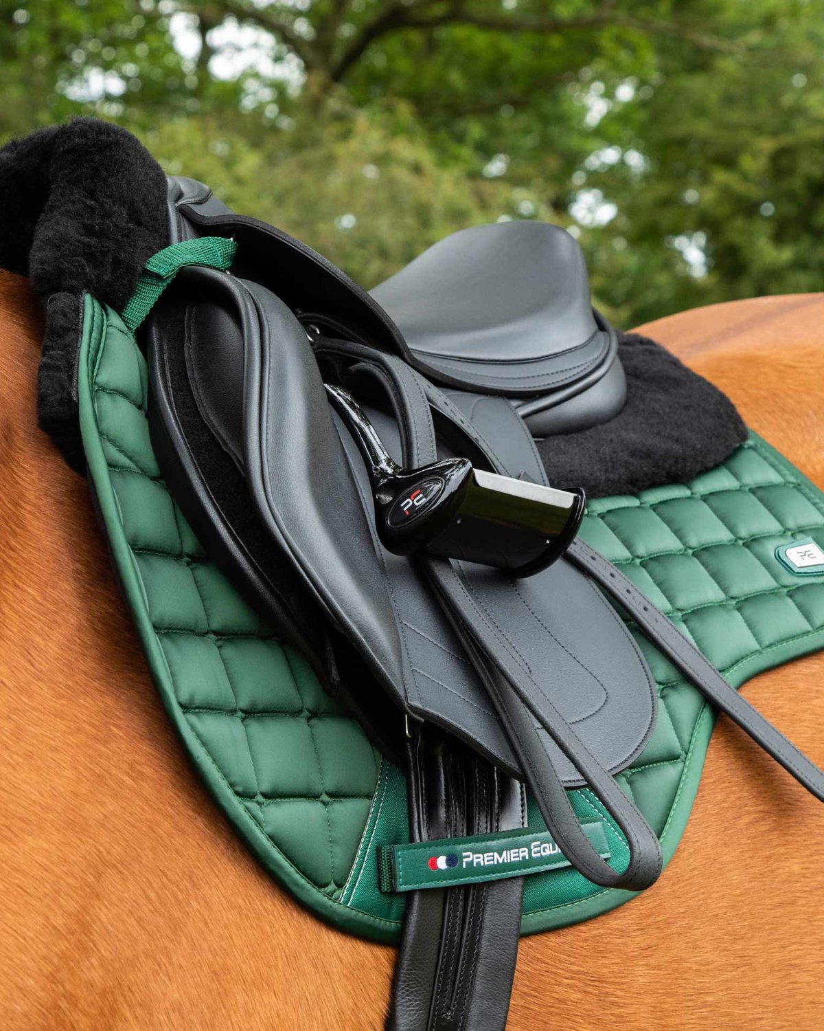 PREMIER EQUINE Atlantis Olive/Black Wool GP/Jump Saddle Pad on Horse - Quilted Satin, Merino Wool Lined