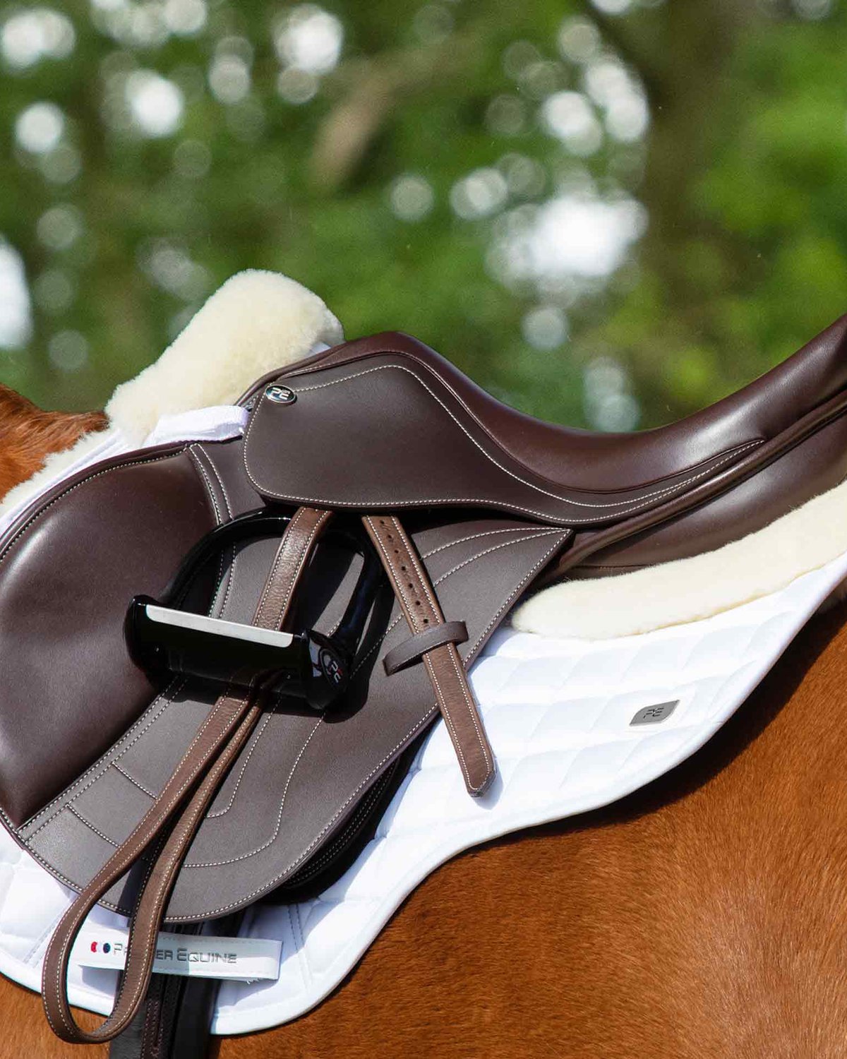 Premier Equine White Wool Saddle Pad | GP/Jump Square for Horse Riding