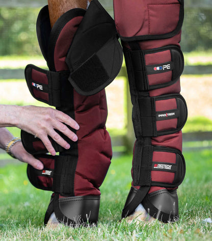 Premier Equine Burgundy Ballistic Knee Pro-Tech Horse Travel Boots | Equiflair