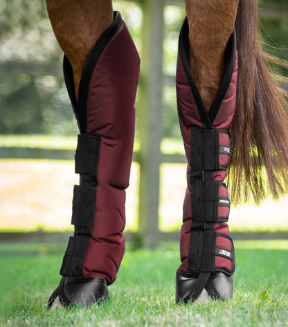 Premier Equine Burgundy Horse Travel Boots - Knee Protection, Equestrian Gear