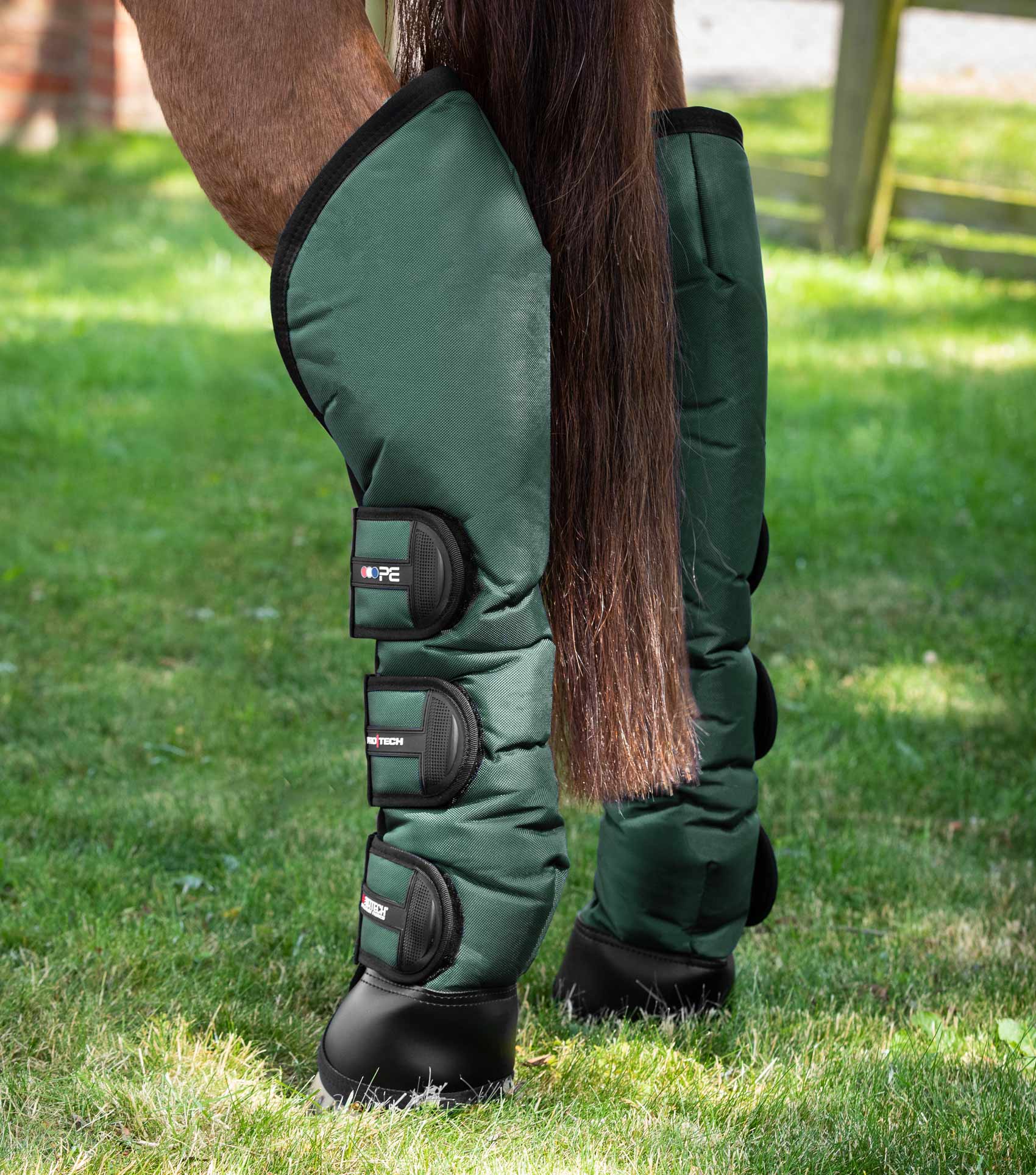 Premier Equine Horse Travel Boots: Green Knee Protection for Safe Transport
