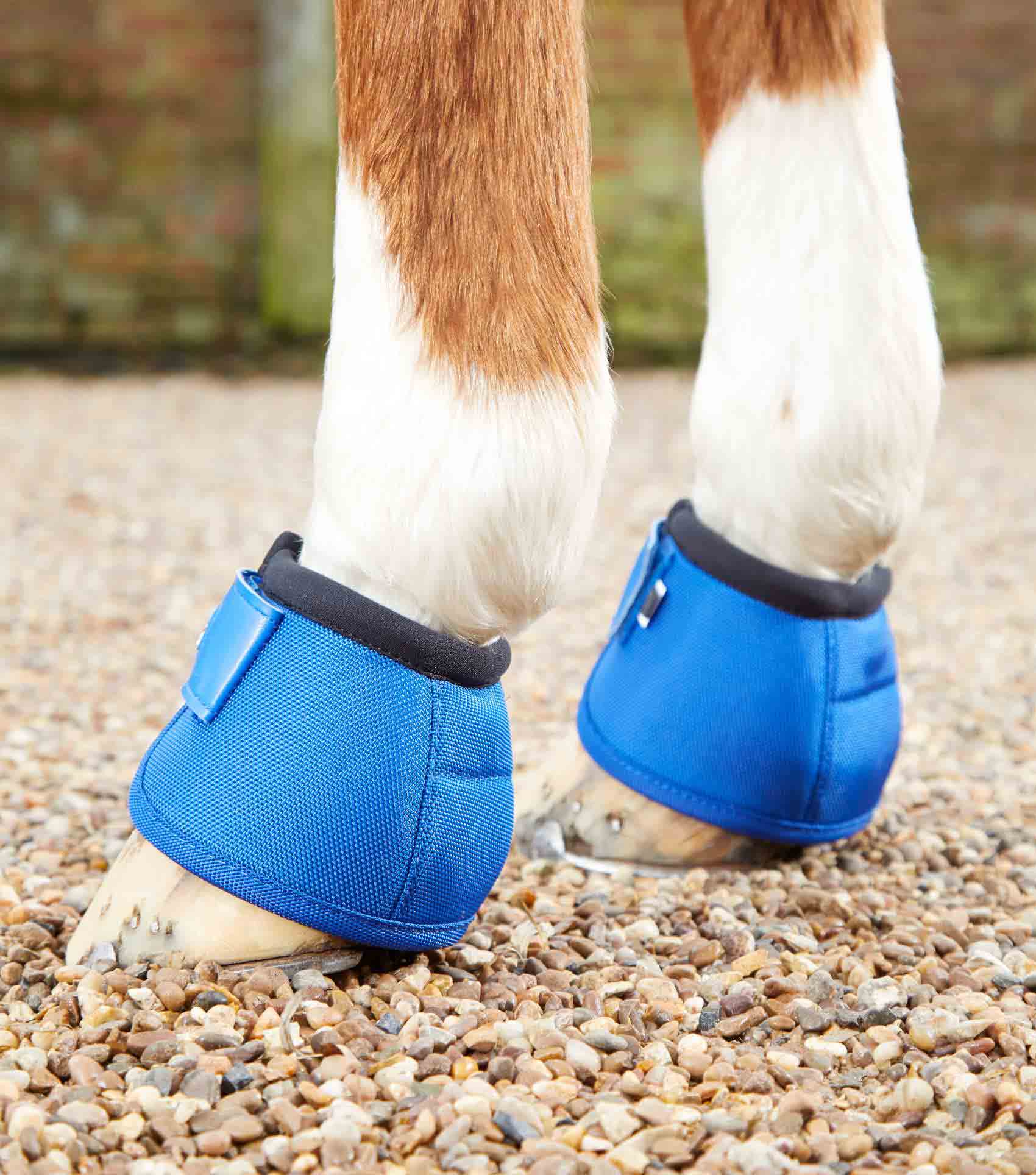 Premier Equine Ballistic No-Turn Over Reach Boots Royal Blue