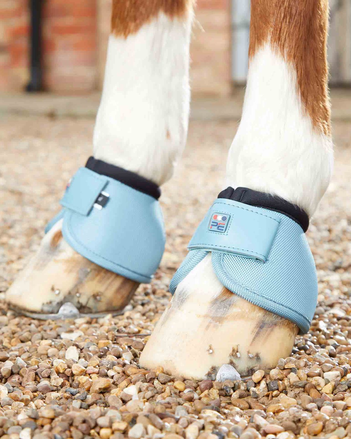 Premier Equine Ballistic No-Turn Over Reach Boots Turquoise