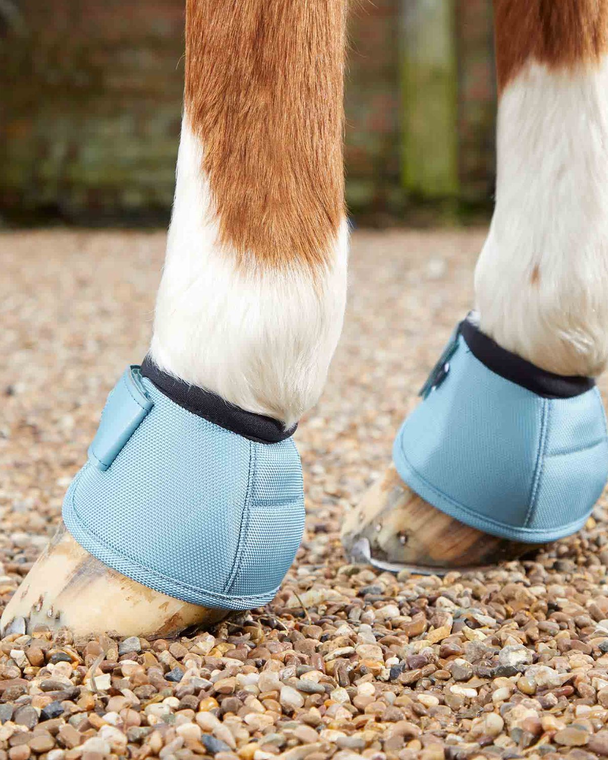 Premier Equine Ballistic No-Turn Over Reach Boots Turquoise