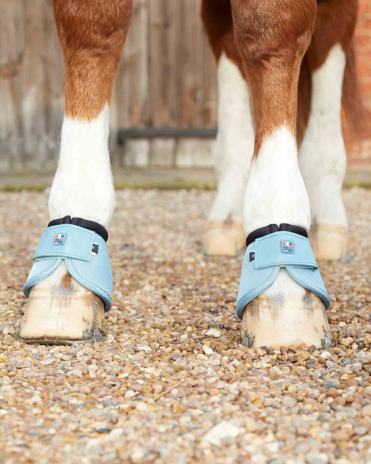 Premier Equine Ballistic No-Turn Over Reach Boots Turquoise