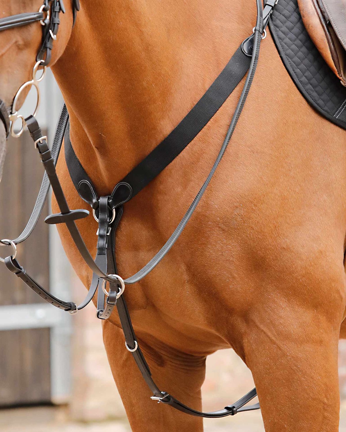 Black Leather Horse Jumping Breastplate with Martingale - Equestrian Equipment