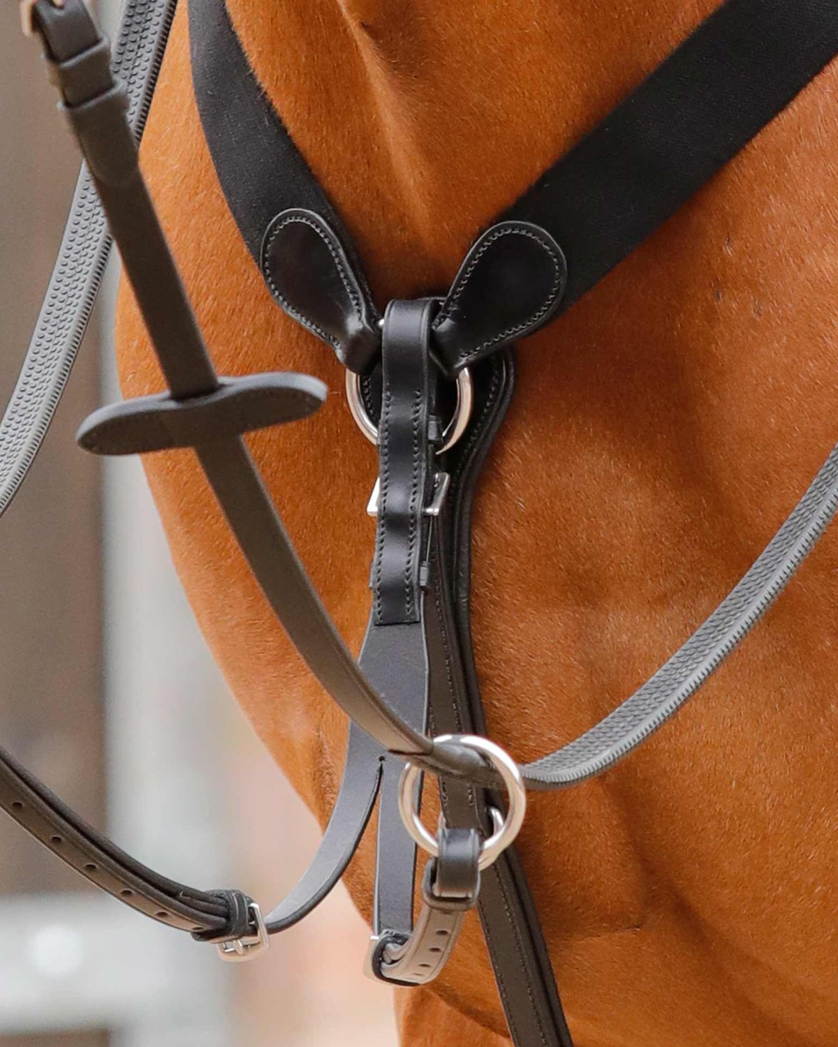 Premier Equine Baressa Elastic Jumping Breastplate Black