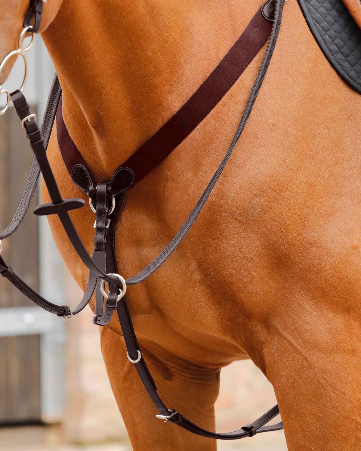 Premier Equine Baressa Elastic Jumping Breastplate Brown