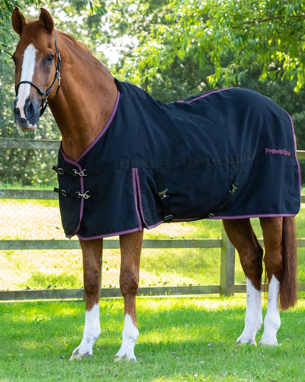 Chestnut Horse in Premier Equine Barrasso Black Stable Sheet | Equiflair